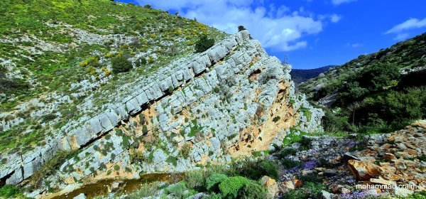 | موسوعة القرى الفلسطينية  | موسوعة القرى الفلسطينية