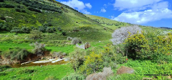 | موسوعة القرى الفلسطينية  | موسوعة القرى الفلسطينية