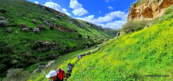 | موسوعة القرى الفلسطينية  | موسوعة القرى الفلسطينية
