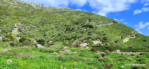 | موسوعة القرى الفلسطينية  | موسوعة القرى الفلسطينية