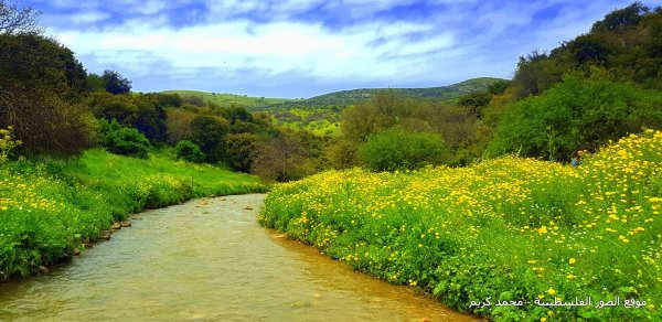 | موسوعة القرى الفلسطينية  | موسوعة القرى الفلسطينية