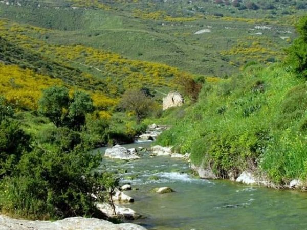 | موسوعة القرى الفلسطينية  | موسوعة القرى الفلسطينية