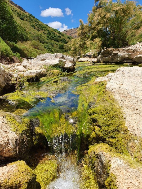 | موسوعة القرى الفلسطينية  | موسوعة القرى الفلسطينية