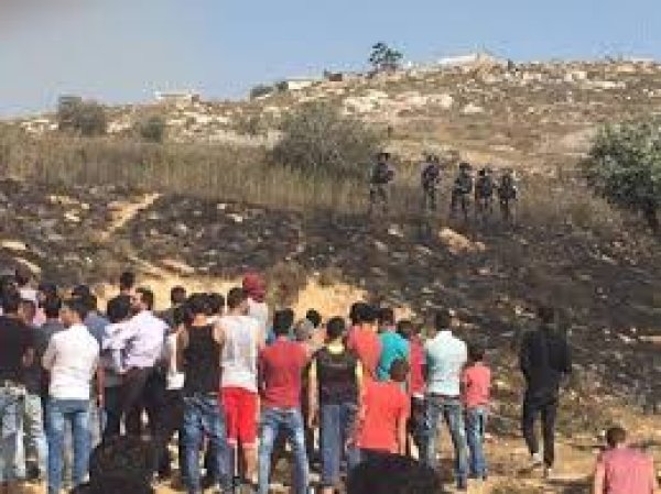  | موسوعة القرى الفلسطينية