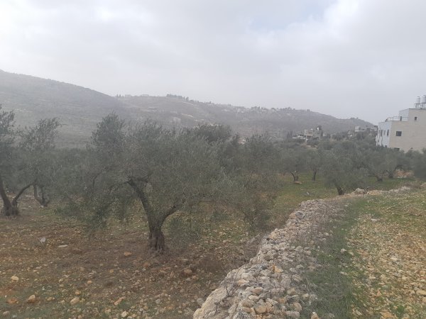| موسوعة القرى الفلسطينية  | موسوعة القرى الفلسطينية