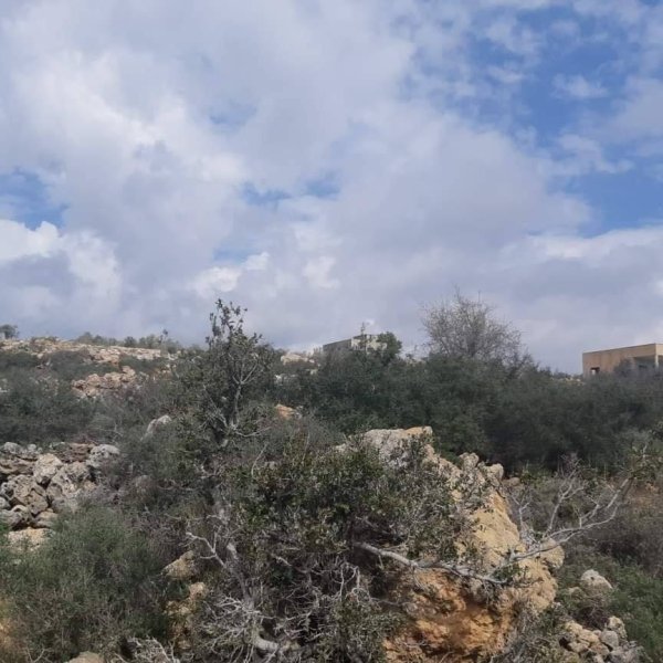 | موسوعة القرى الفلسطينية  | موسوعة القرى الفلسطينية
