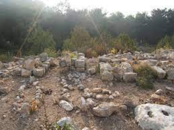 | موسوعة القرى الفلسطينية  | موسوعة القرى الفلسطينية