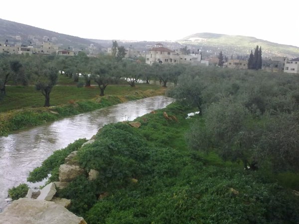 | موسوعة القرى الفلسطينية  | موسوعة القرى الفلسطينية