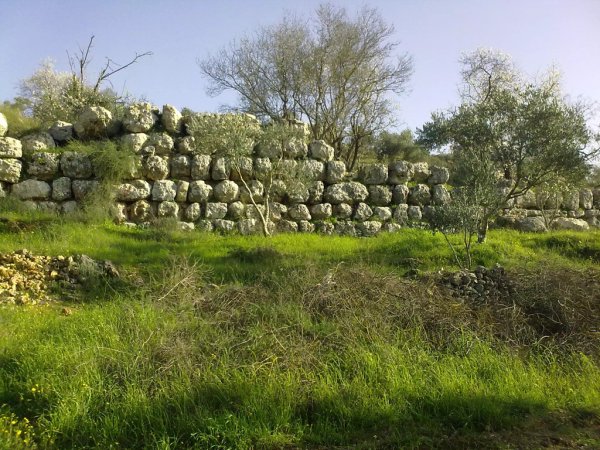 | موسوعة القرى الفلسطينية  | موسوعة القرى الفلسطينية
