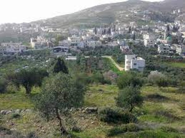 | موسوعة القرى الفلسطينية  | موسوعة القرى الفلسطينية