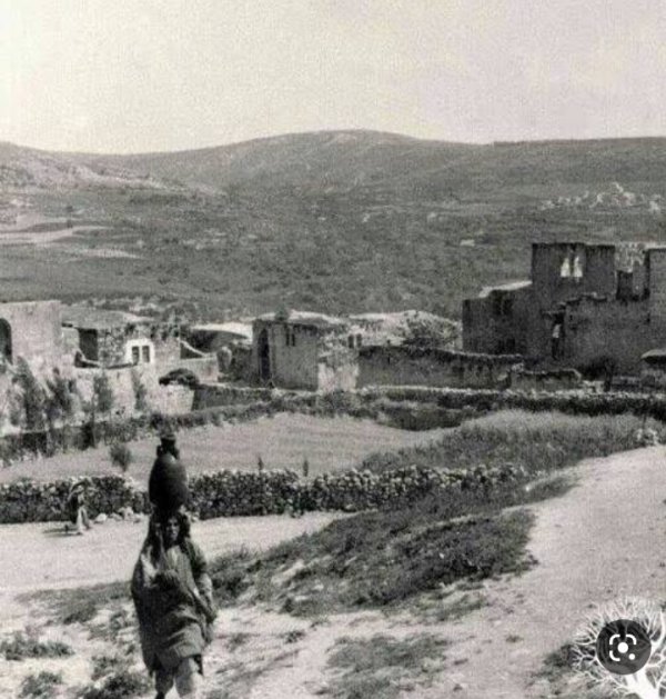 قرية عربونة/ جنين قرية عربونة/ جنين