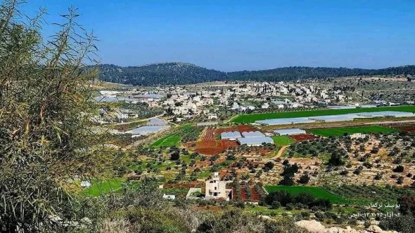 من قرية عربونة شمال جنين تصوير يوسف تركمان