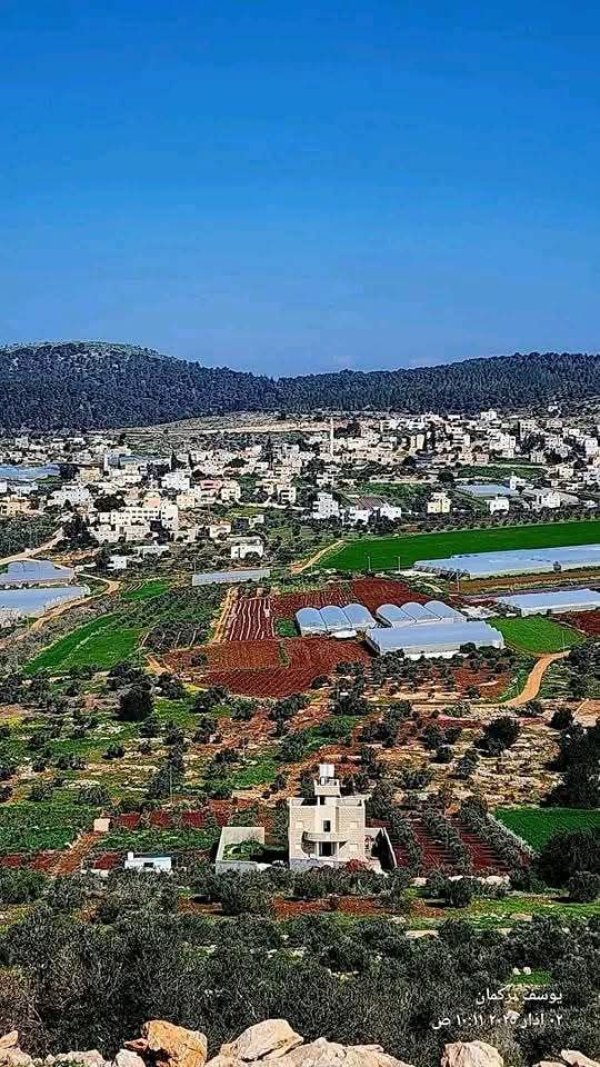 من قرية عربونة شمال جنين تصوير يوسف تركمان