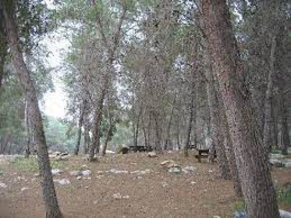 أم الرشراش / بئر السبع أم الرشراش / بئر السبع
