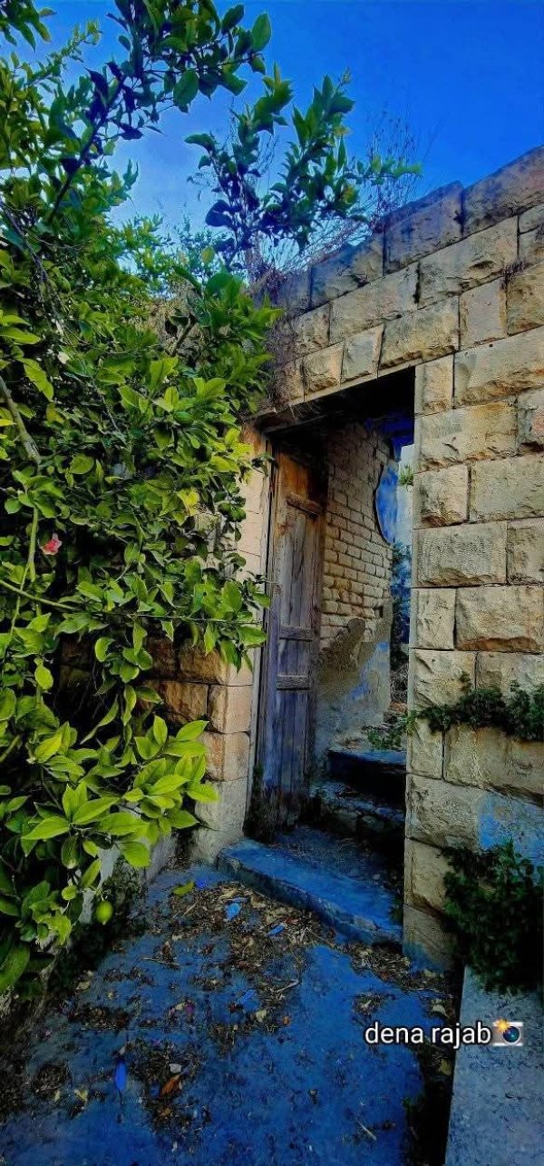 صور البيوت في البلدة بعدسة دينا رجب