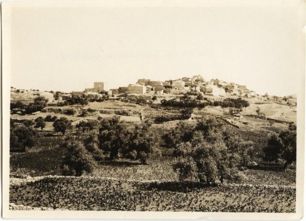 | موسوعة القرى الفلسطينية  | موسوعة القرى الفلسطينية