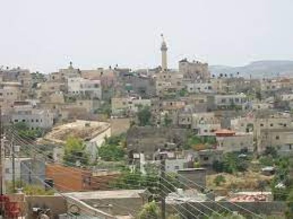 اليامون / جنين