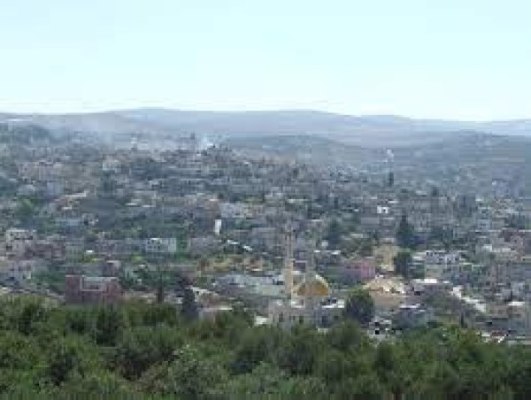 اليامون / جنين