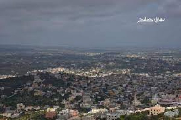 اليامون / جنين