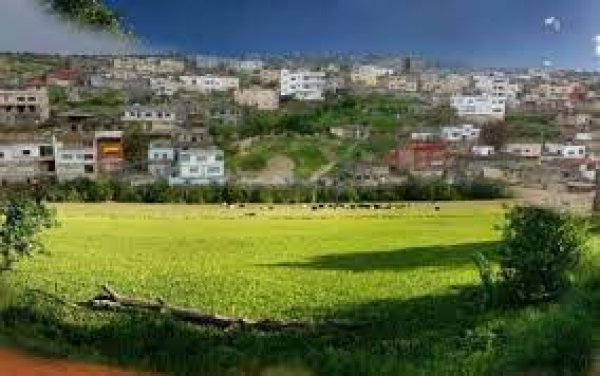 اليامون / جنين