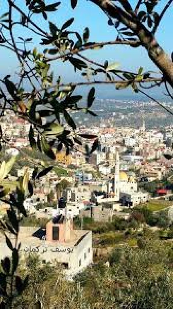 اليامون / جنين