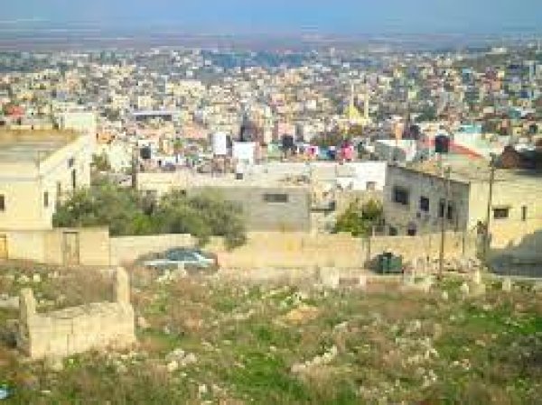 اليامون / جنين