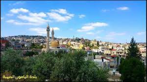 اليامون / جنين