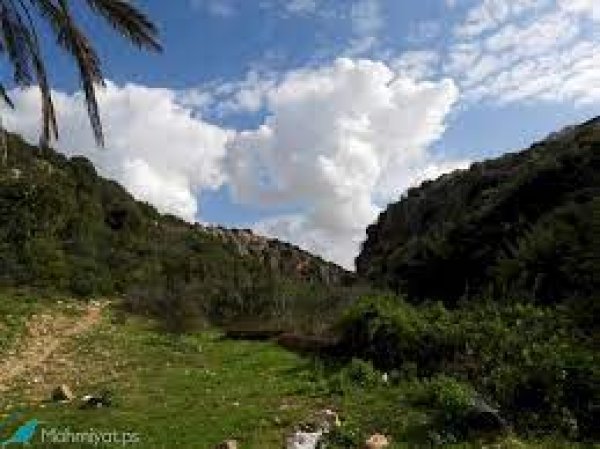 | موسوعة القرى الفلسطينية  | موسوعة القرى الفلسطينية