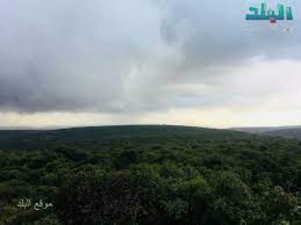 | موسوعة القرى الفلسطينية  | موسوعة القرى الفلسطينية