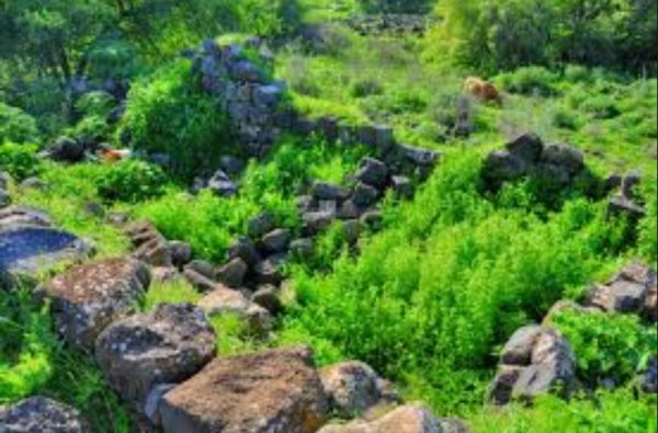 | موسوعة القرى الفلسطينية  | موسوعة القرى الفلسطينية