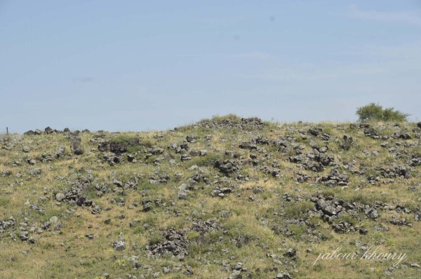 | موسوعة القرى الفلسطينية  | موسوعة القرى الفلسطينية