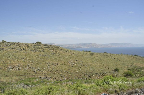 | موسوعة القرى الفلسطينية  | موسوعة القرى الفلسطينية