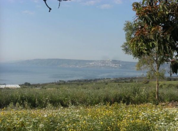 | موسوعة القرى الفلسطينية  | موسوعة القرى الفلسطينية