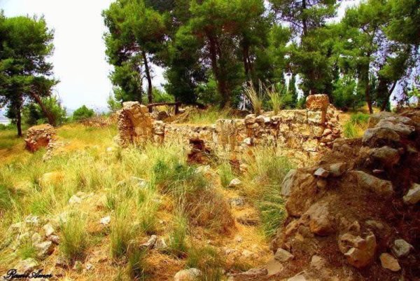 | موسوعة القرى الفلسطينية  | موسوعة القرى الفلسطينية