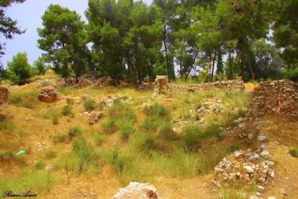 | موسوعة القرى الفلسطينية  | موسوعة القرى الفلسطينية