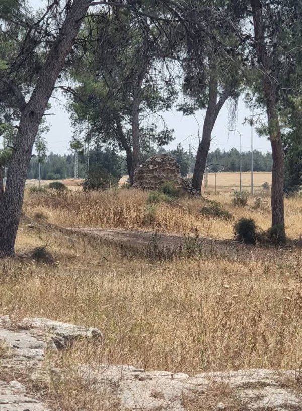 | موسوعة القرى الفلسطينية  | موسوعة القرى الفلسطينية