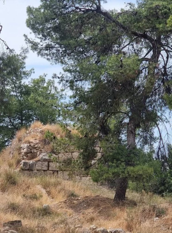 | موسوعة القرى الفلسطينية  | موسوعة القرى الفلسطينية