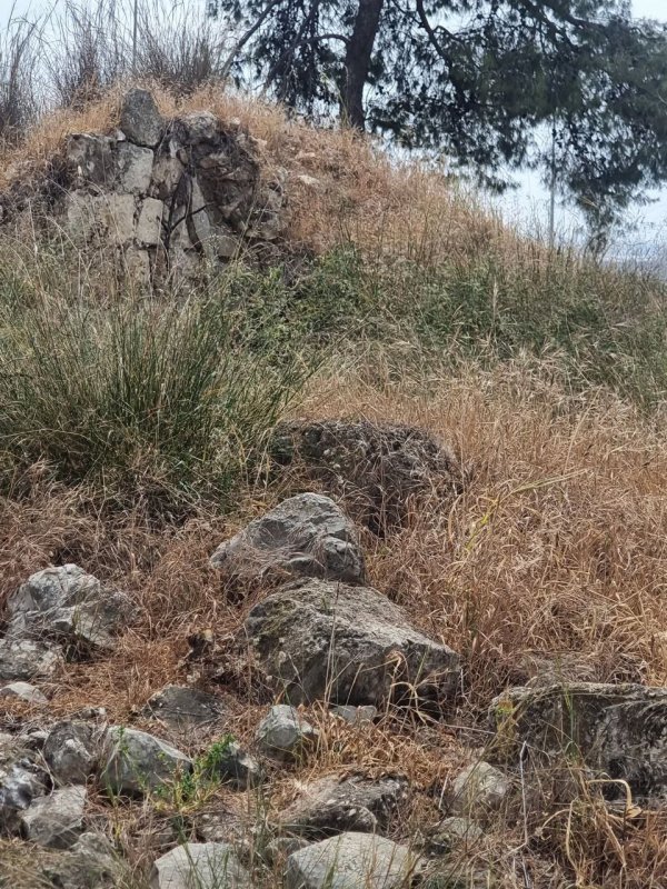 | موسوعة القرى الفلسطينية  | موسوعة القرى الفلسطينية