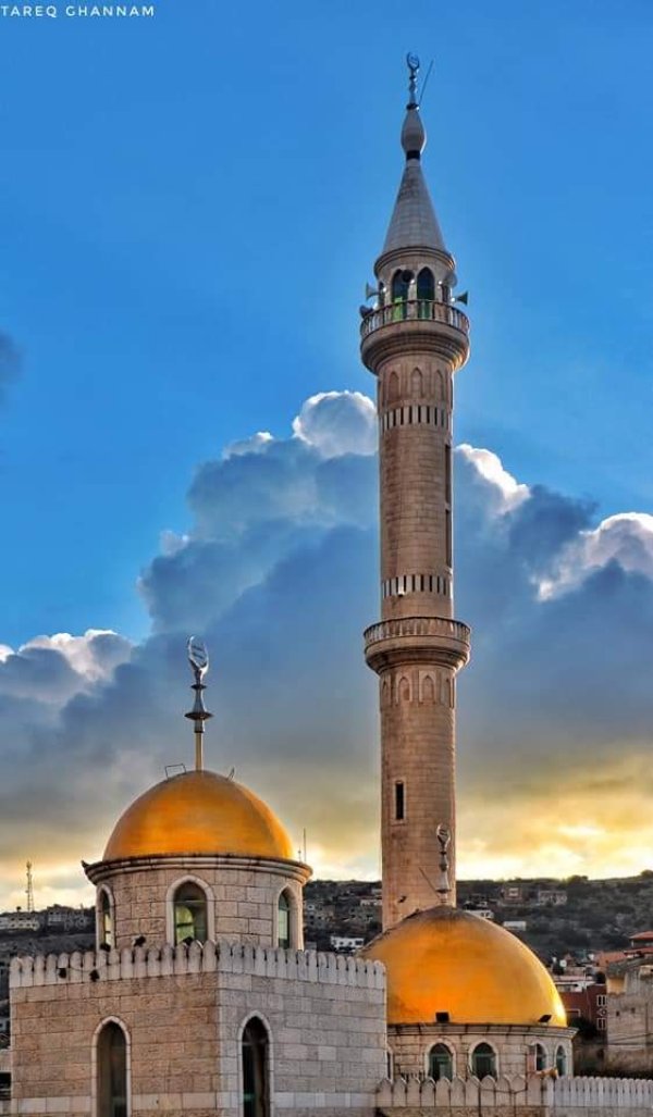  | موسوعة القرى الفلسطينية