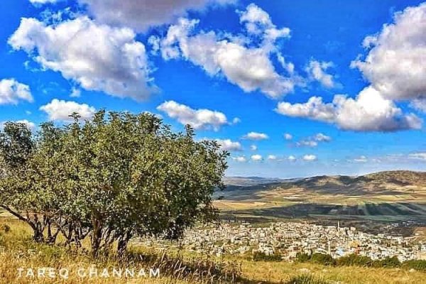  | موسوعة القرى الفلسطينية