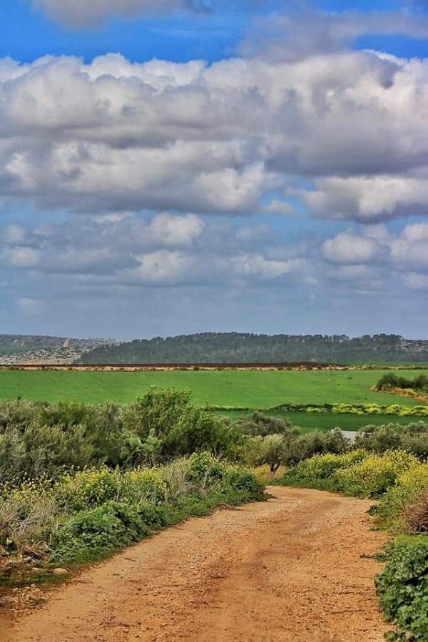  | موسوعة القرى الفلسطينية