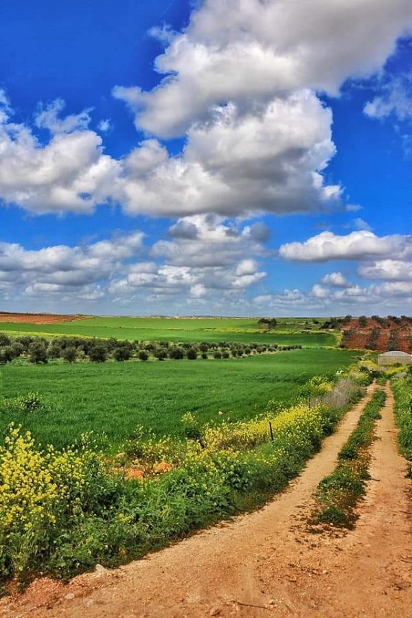  | موسوعة القرى الفلسطينية