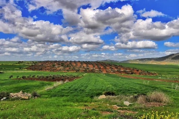  | موسوعة القرى الفلسطينية