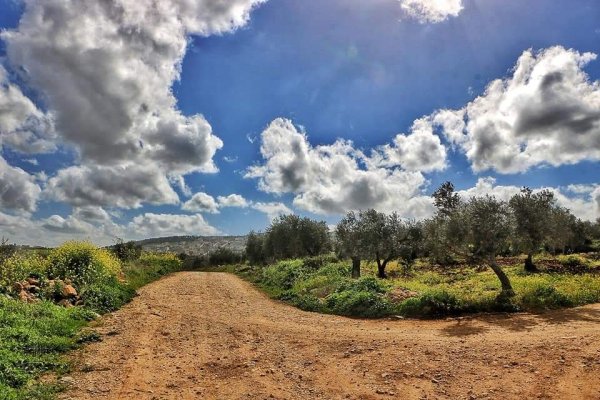  | موسوعة القرى الفلسطينية