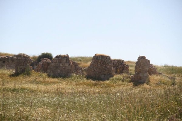 أم الشقف/ دورا- الخليل