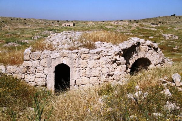 أم الشقف/ دورا- الخليل