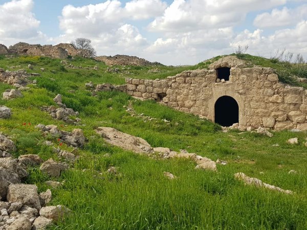 أم الشقف/ دورا- الخليل