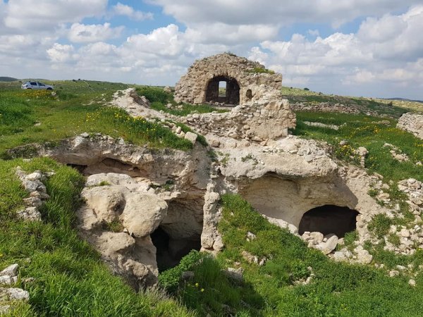 أم الشقف/ دورا- الخليل