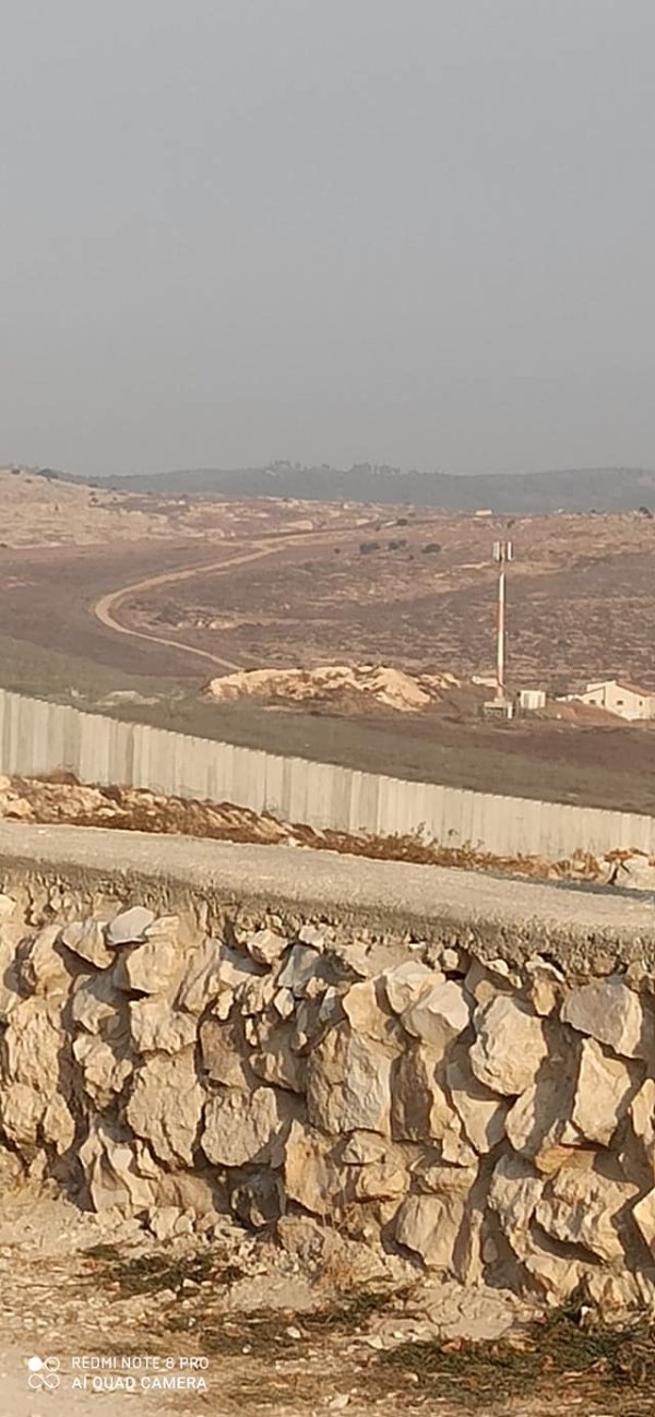 أم الشقف/ دورا- الخليل