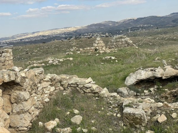 أم الشقف/ دورا- الخليل